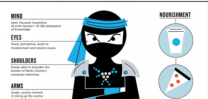 Anatomy of a PC Ninja (Infographic)