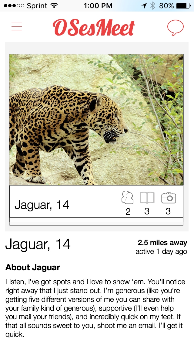 animal dating profiles