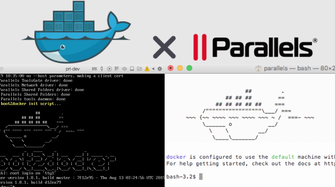 Parallels Driver Parallels Driver
