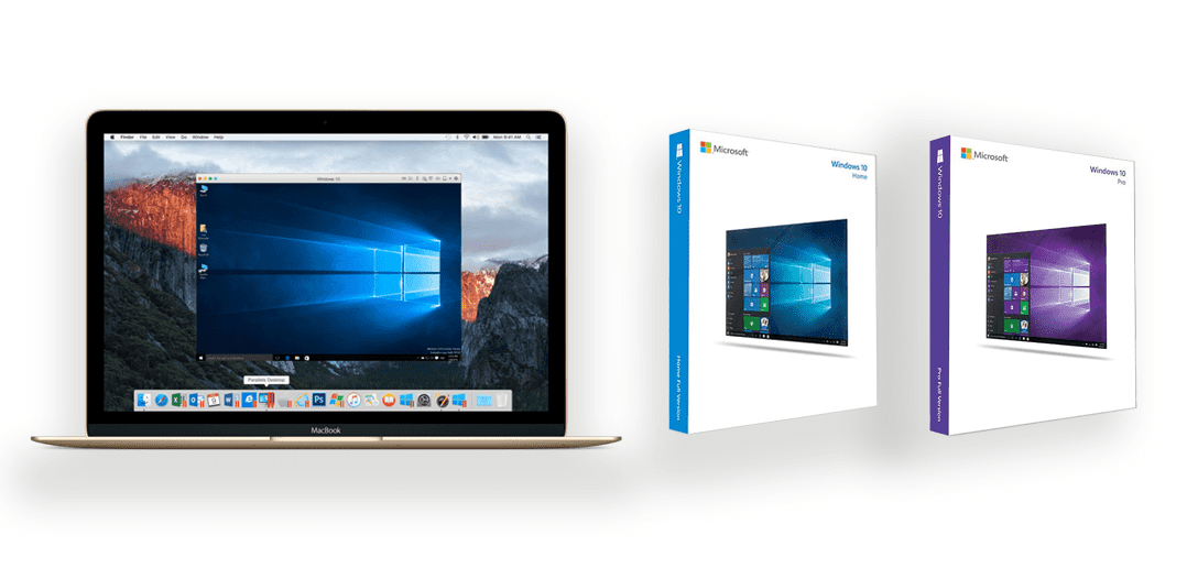 How To Purchase Windows 10 Home Or Pro Parallels Blog