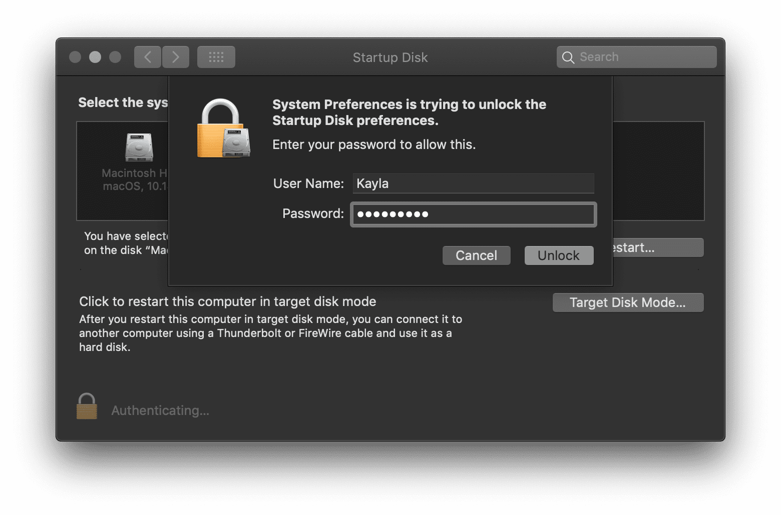 How To Pick Different Start Up Drive For Mac Pro How To Pick Different Start Up Drive For Mac Pro