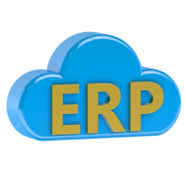 ERP Hosting