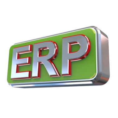 ERP Hosting