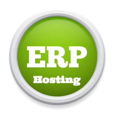 ERP Hosting Services for Business