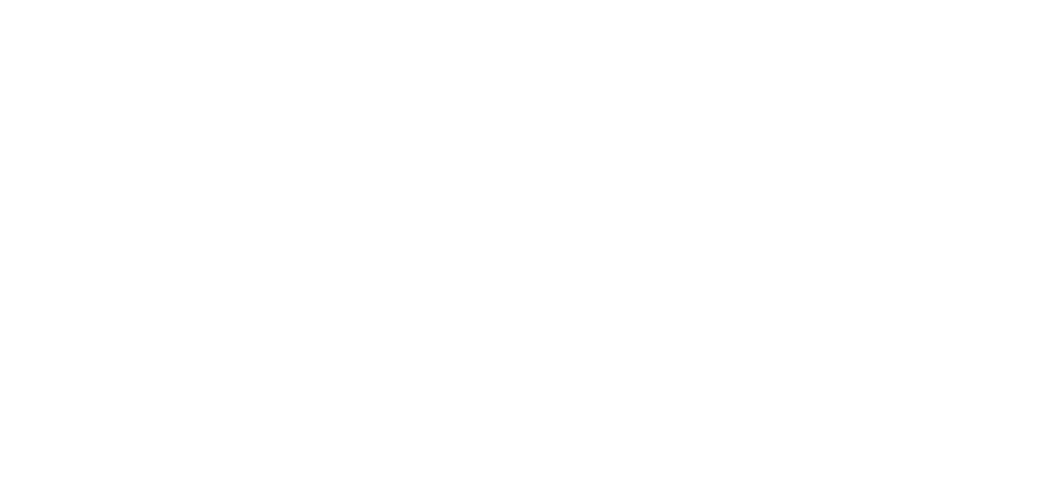 vipp