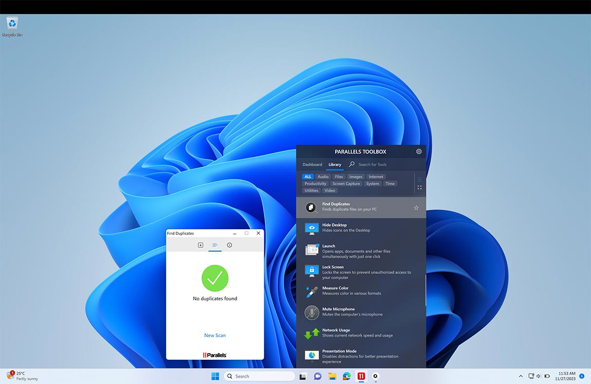 Find Duplicates screen